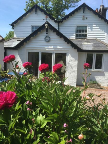 Wishing Well Cottage Wilmington  외부 사진